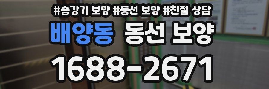 배양동 동선 보양
