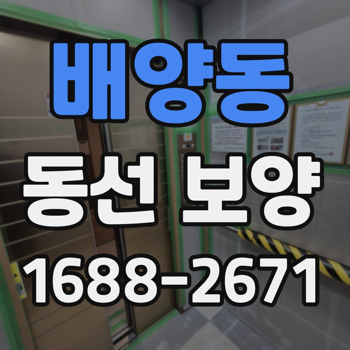 배양동 동선 보양