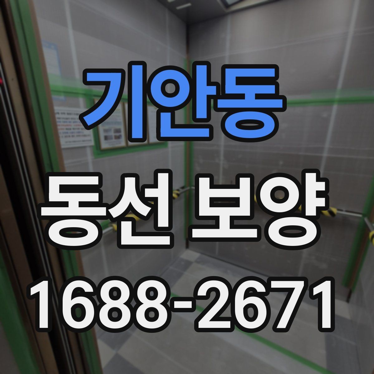 기안동 동선 보양 실무에서 자주 확인하는 기준