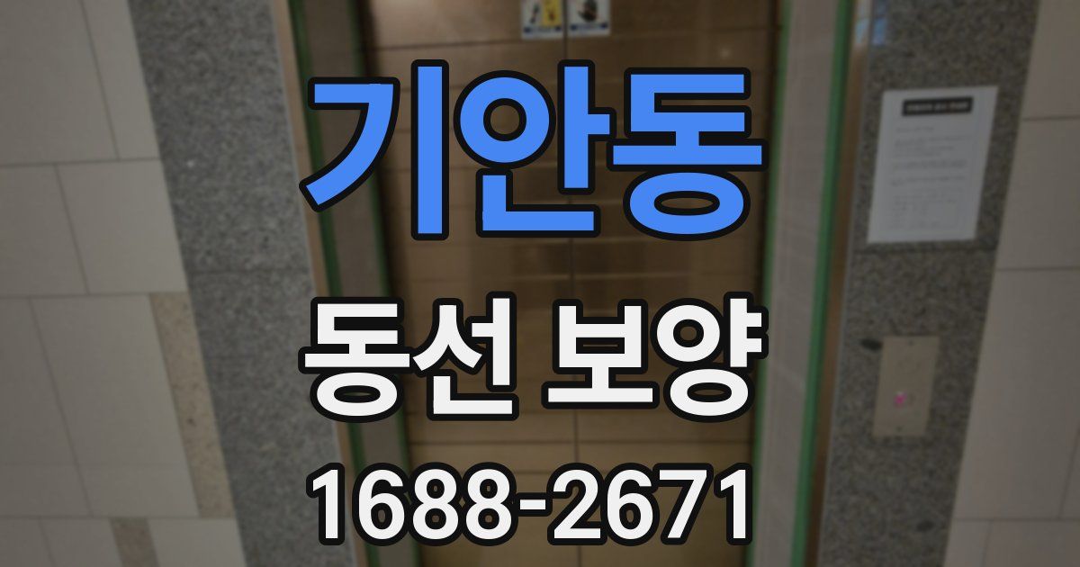 기안동 동선 보양