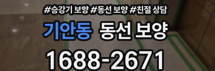 기안동 동선 보양