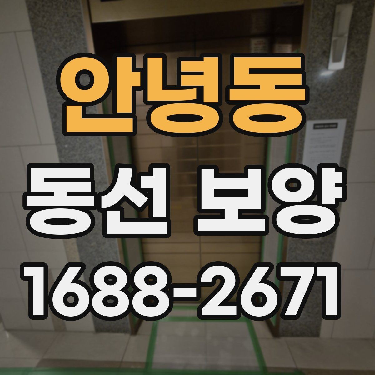 안녕동 동선 보양 진행 전 협의해야 할 사항
