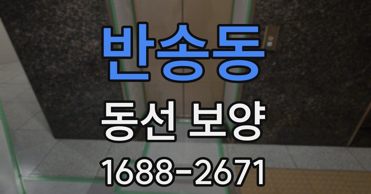 반송동 동선 보양