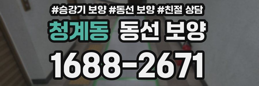 청계동 동선 보양