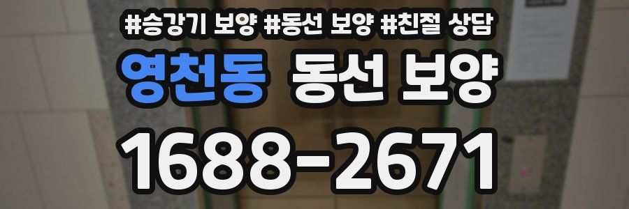 영천동 동선 보양