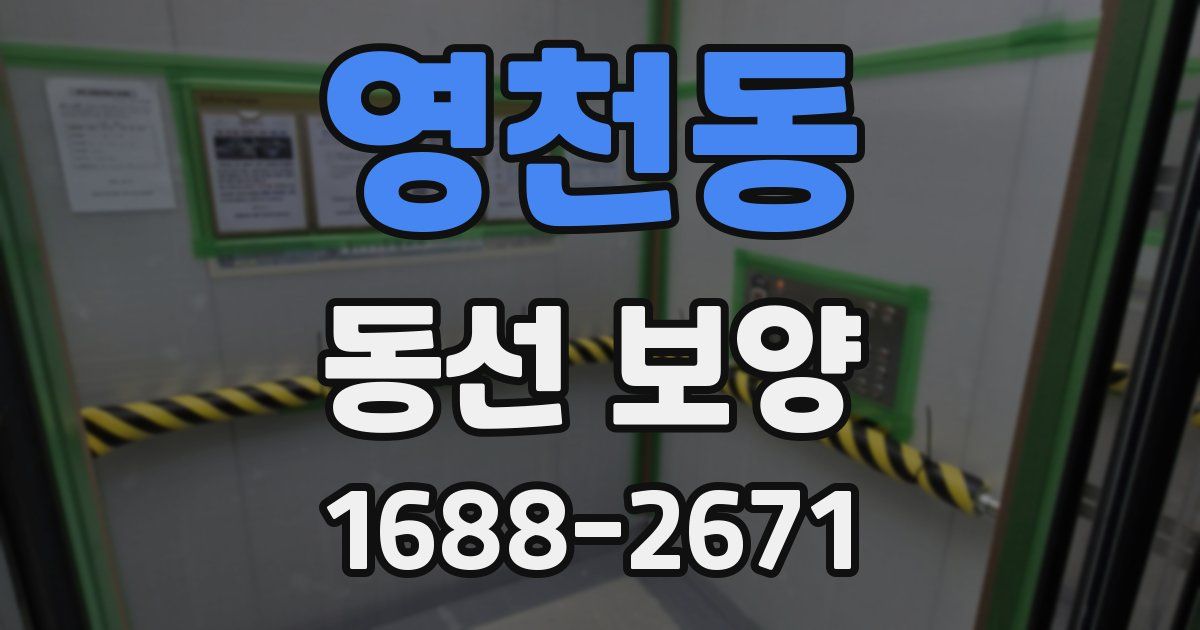 영천동 동선 보양
