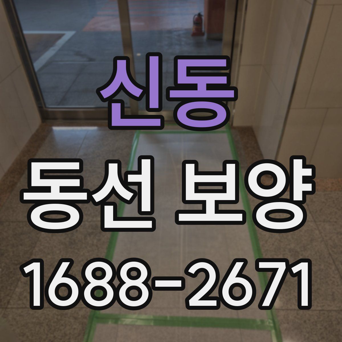 신동 동선 보양
