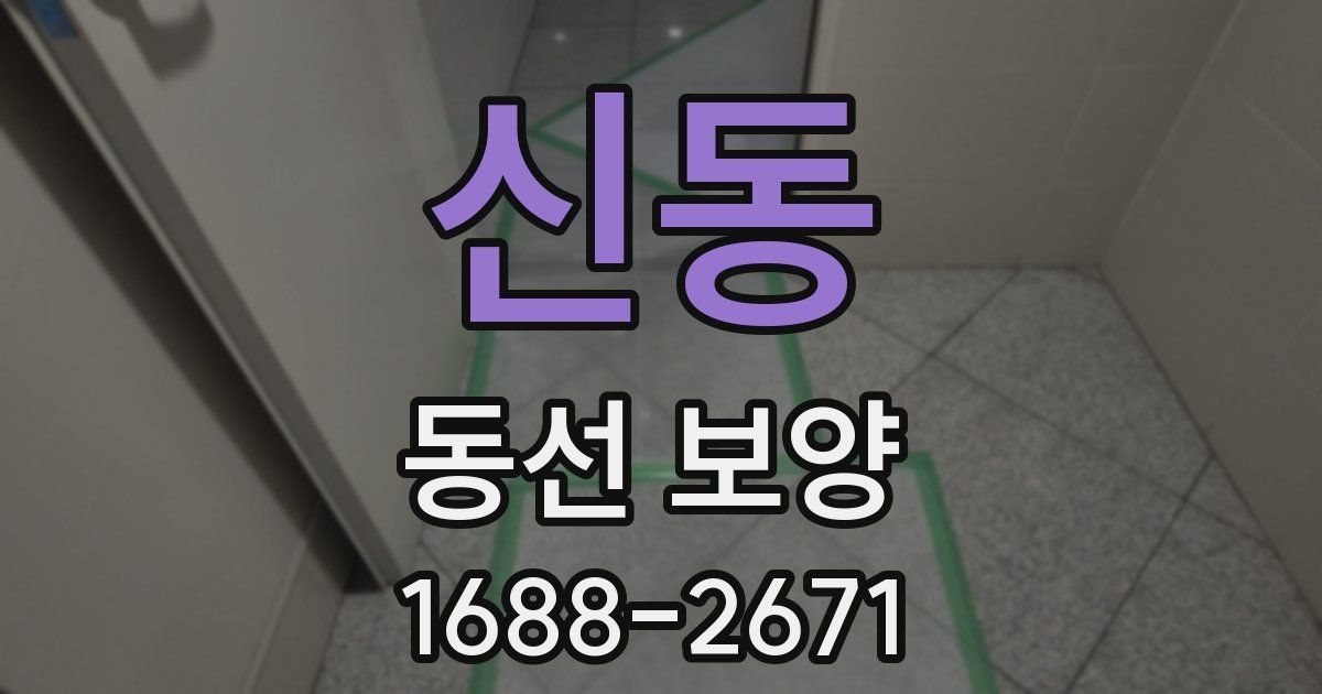 신동 동선 보양