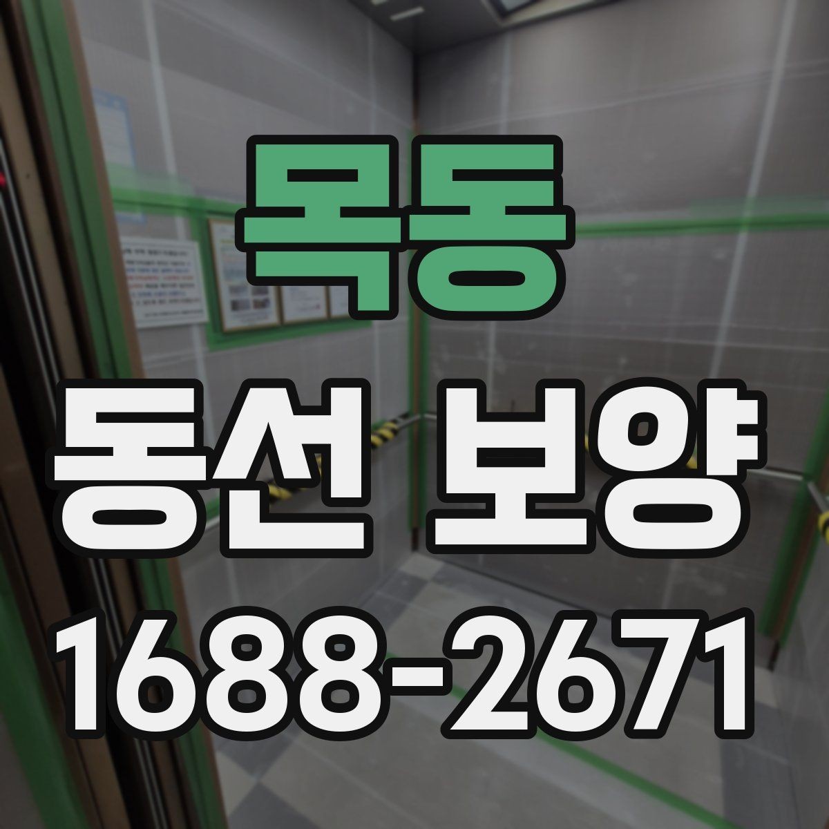 목동 동선 보양 기준을 세울 때 보는 현장 요소
