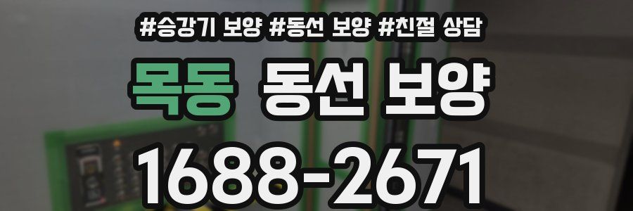 목동 동선 보양