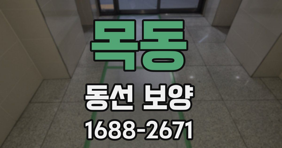 목동 동선 보양