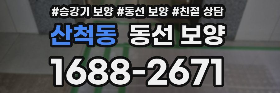 산척동 동선 보양