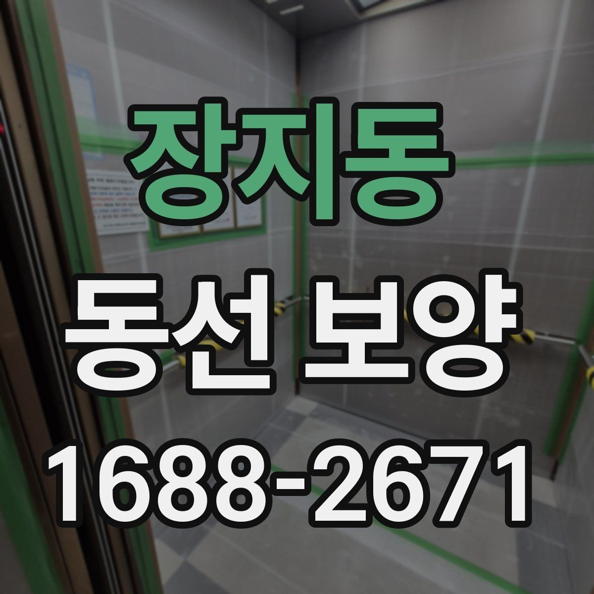 장지동 동선 보양 시공 전 확인할 점