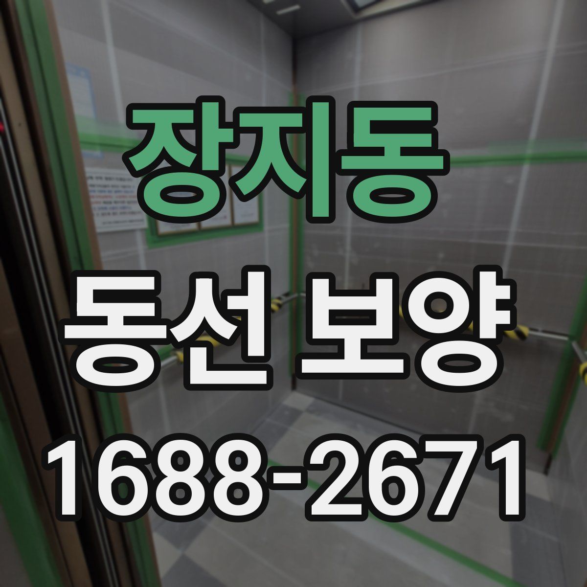 장지동 동선 보양