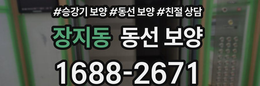 장지동 동선 보양