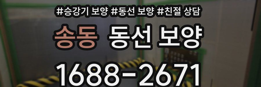 송동 동선 보양