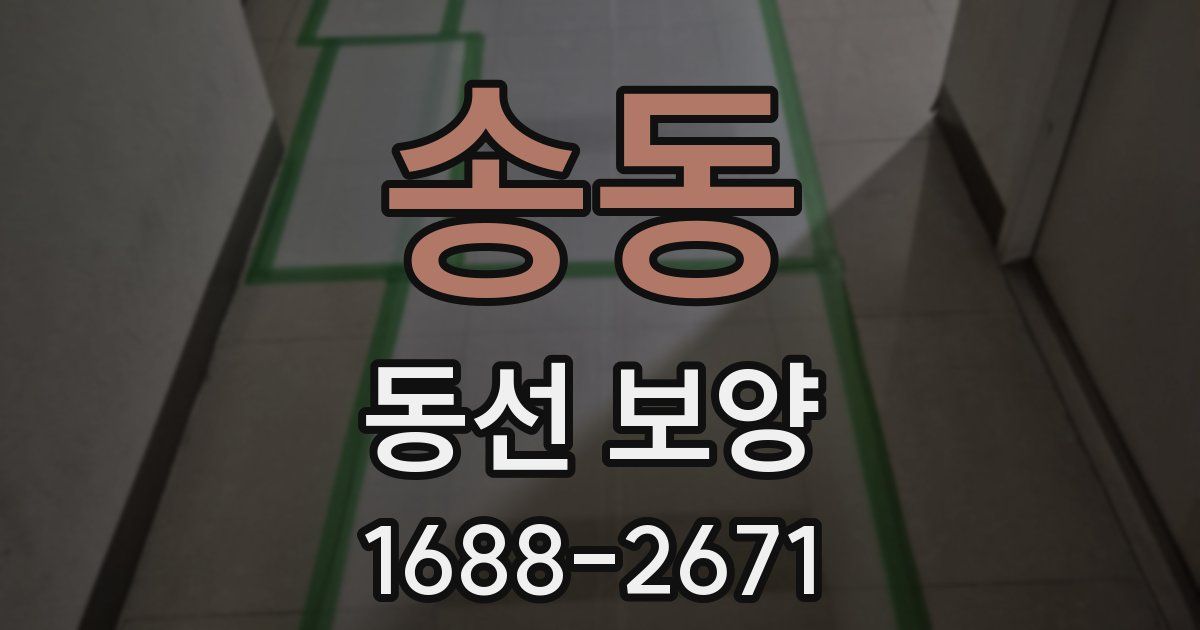 송동 동선 보양