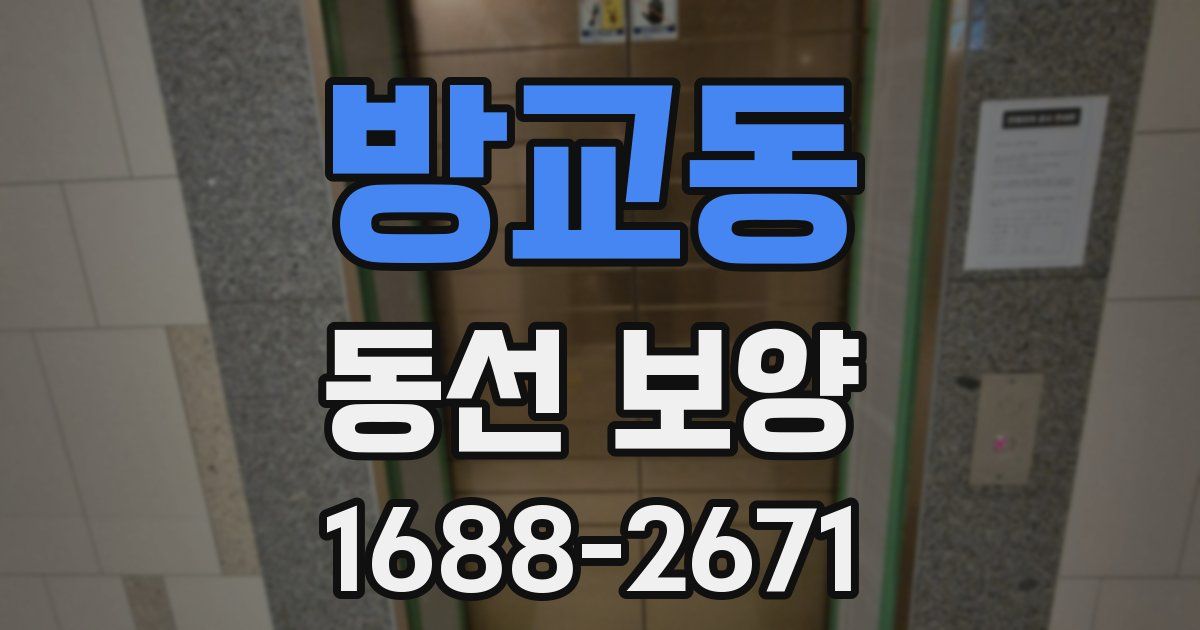방교동 동선 보양