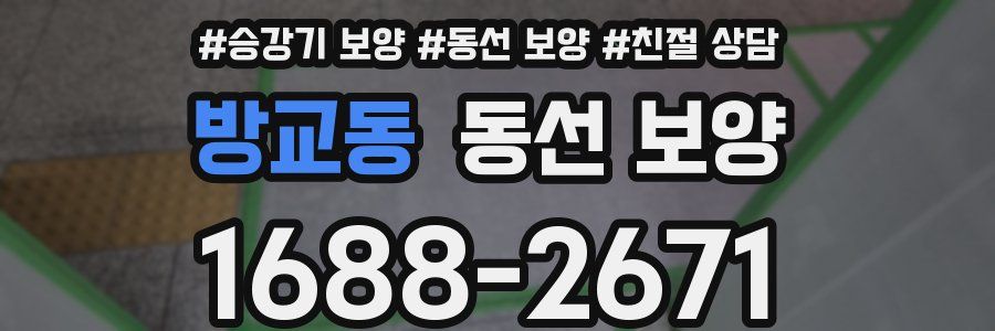 방교동 동선 보양