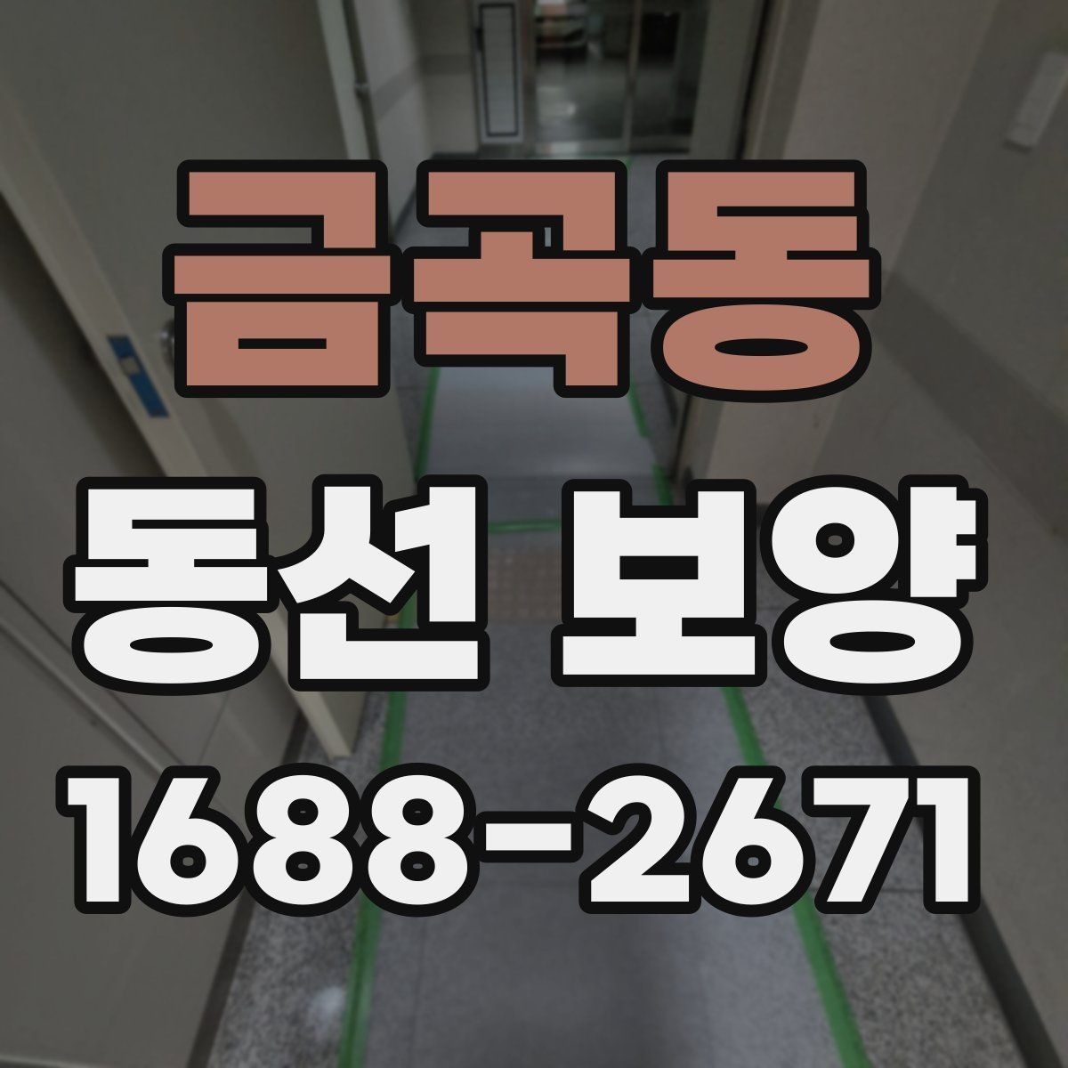 금곡동 동선 보양 대상 구간을 정하는 기준