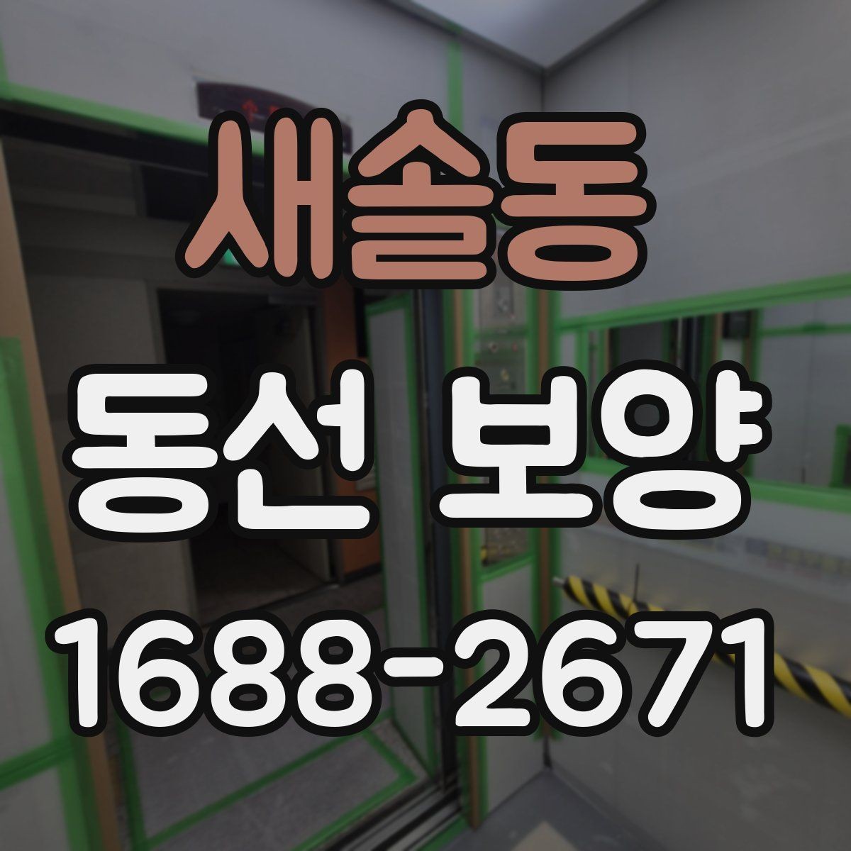 새솔동 동선 보양 작업 순서와 준비 단계