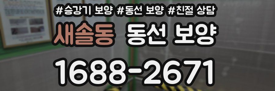 새솔동 동선 보양