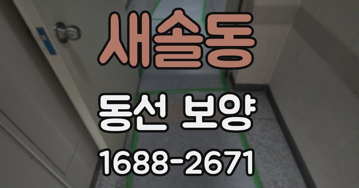 새솔동 동선 보양