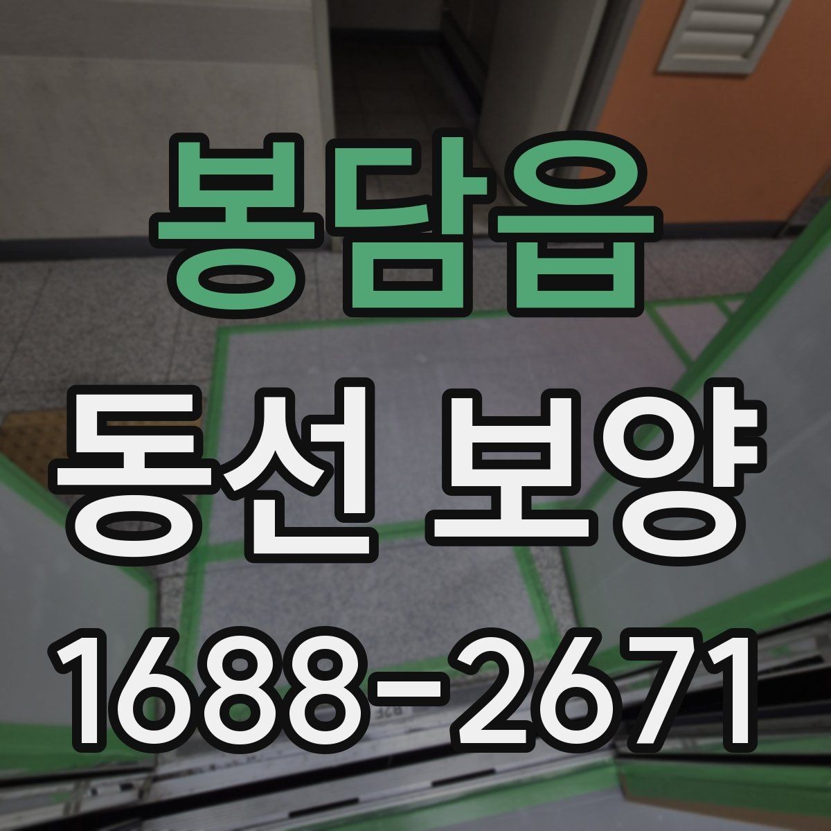 봉담읍 동선 보양 작업 후 관리 방법 안내