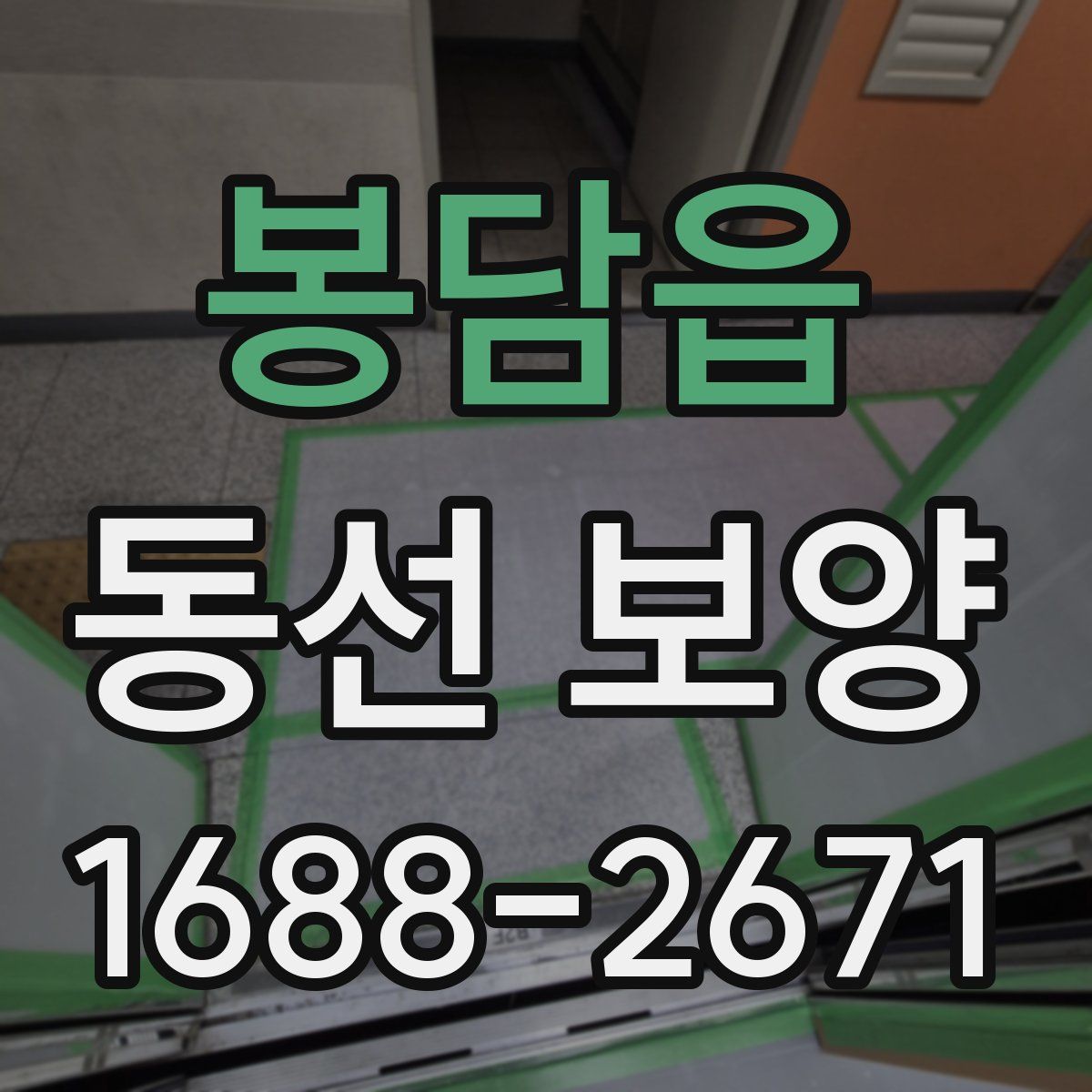 봉담읍 동선 보양