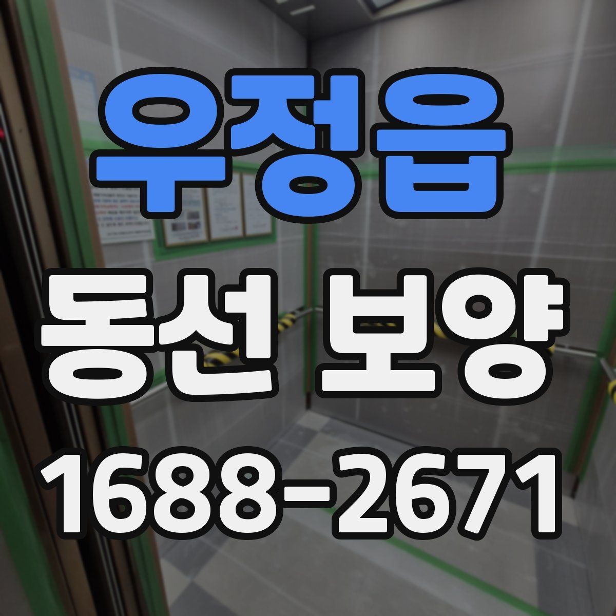 우정읍 동선 보양 비용 계산 전에 확인할 부분