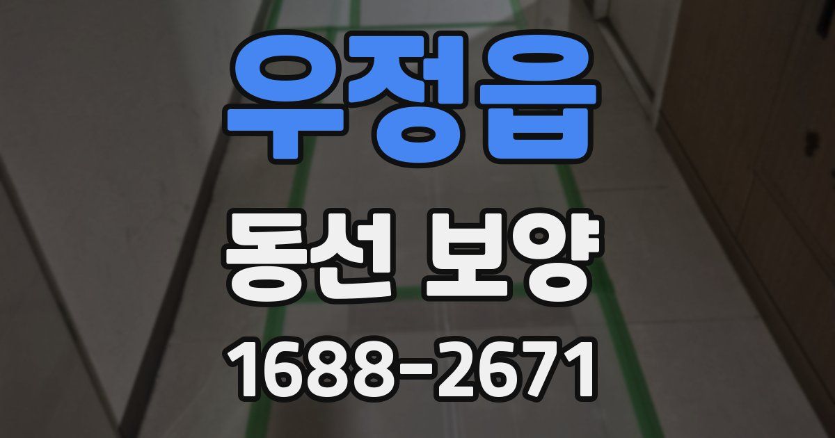 우정읍 동선 보양