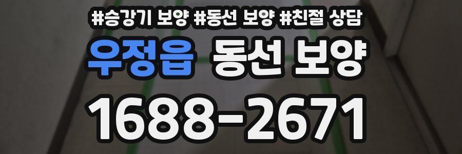 우정읍 동선 보양