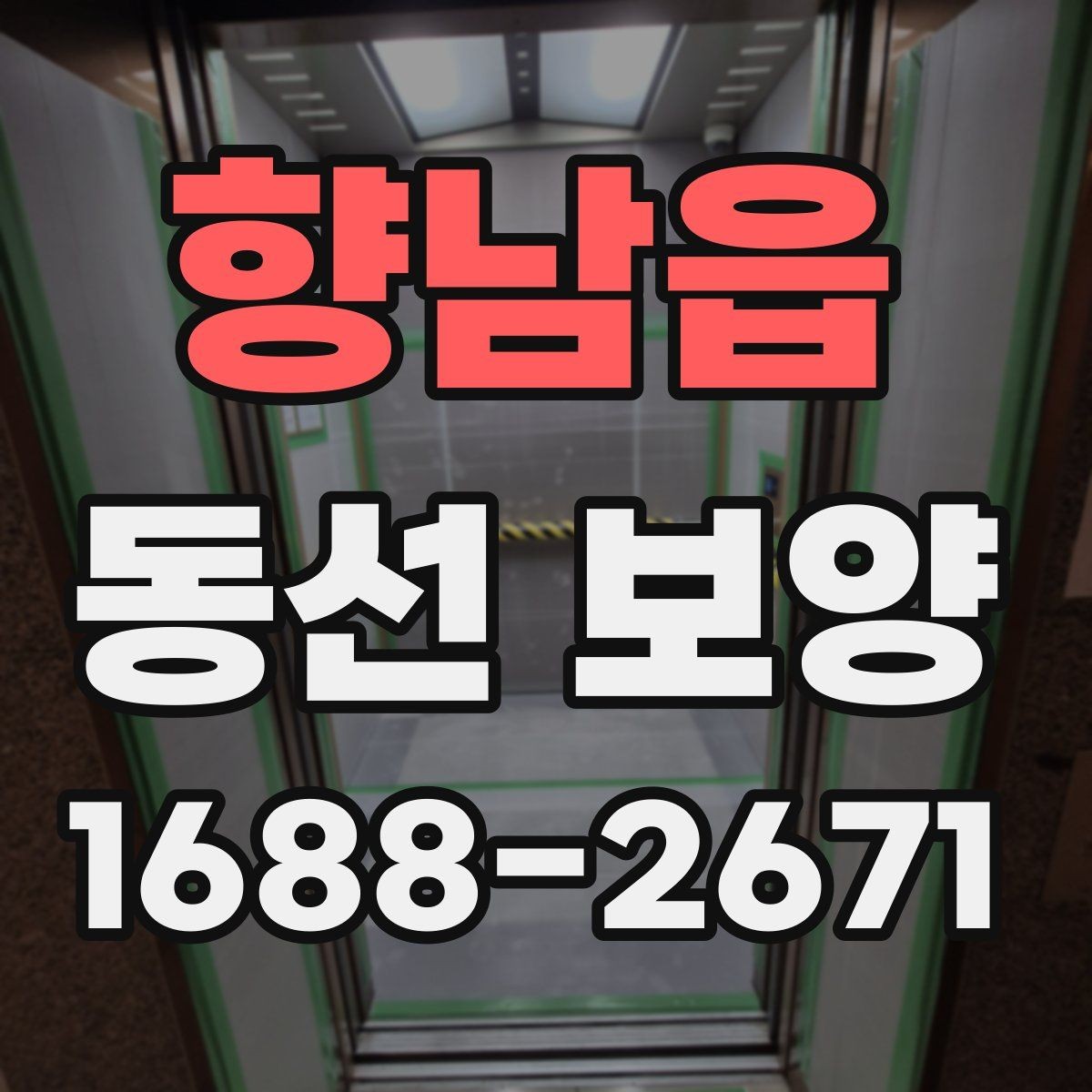 향남읍 동선 보양 선택 전 확인하면 좋은 기준