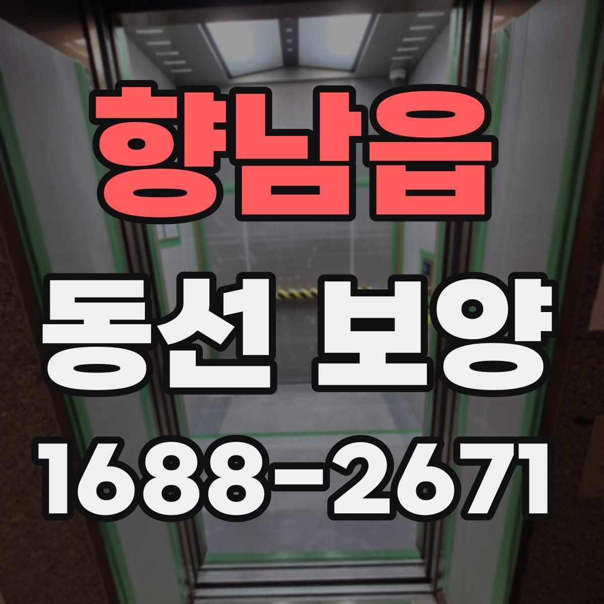 향남읍 동선 보양
