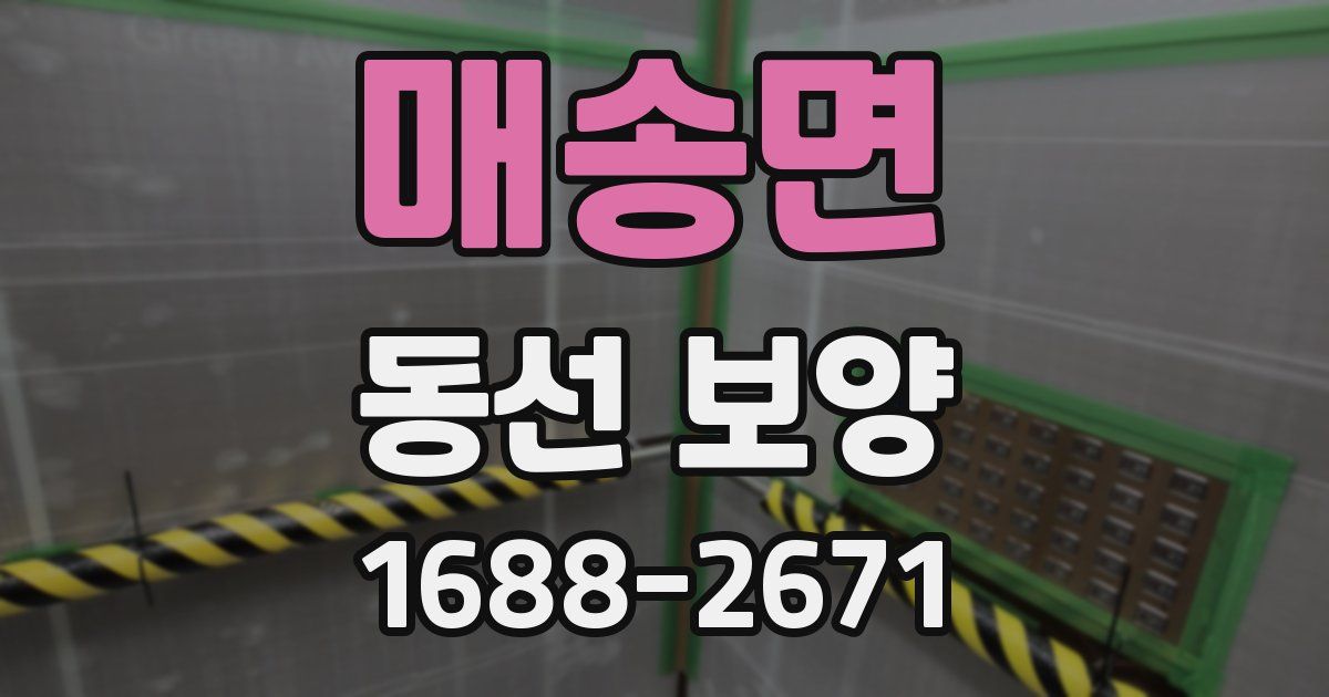 매송면 동선 보양
