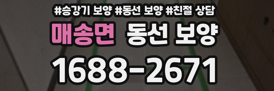매송면 동선 보양