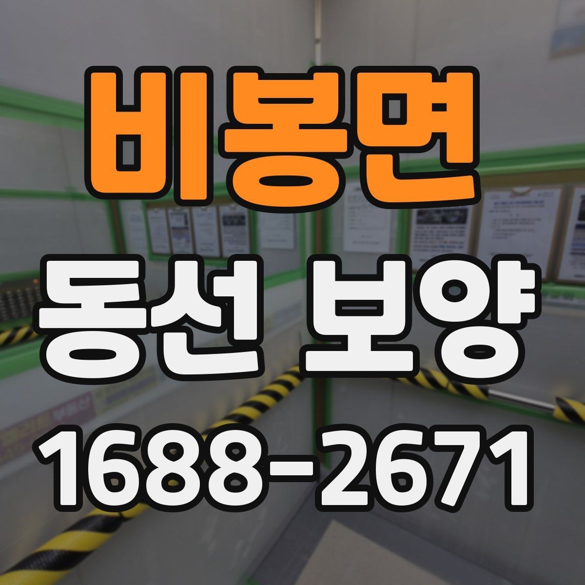 비봉면 동선 보양 현장별로 달라지는 작업 포인트