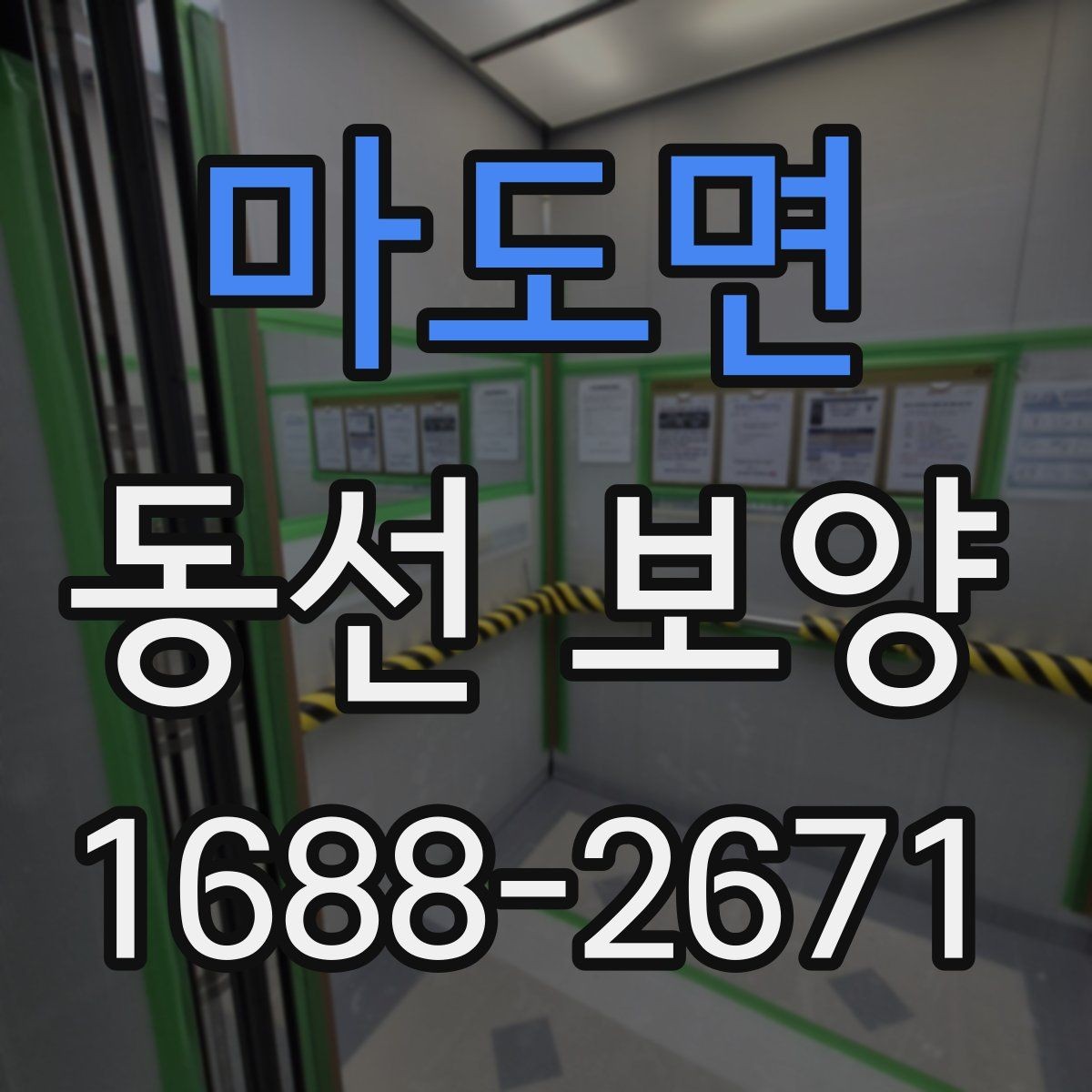 마도면 동선 보양 진행 시 작업자 간 협업이 중요한 이유