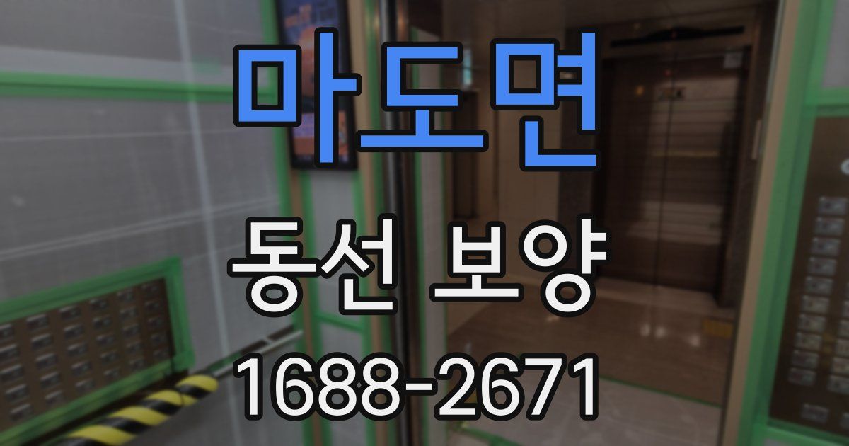 마도면 동선 보양