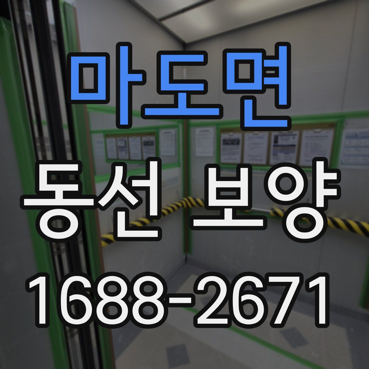 마도면 동선 보양