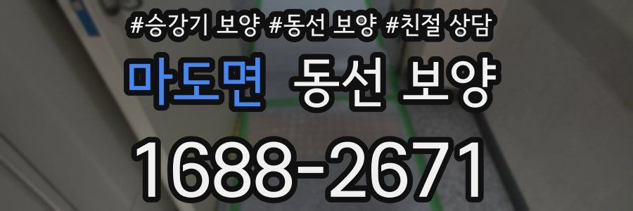마도면 동선 보양