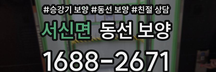 서신면 동선 보양
