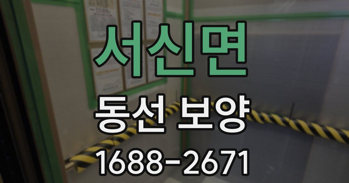 서신면 동선 보양