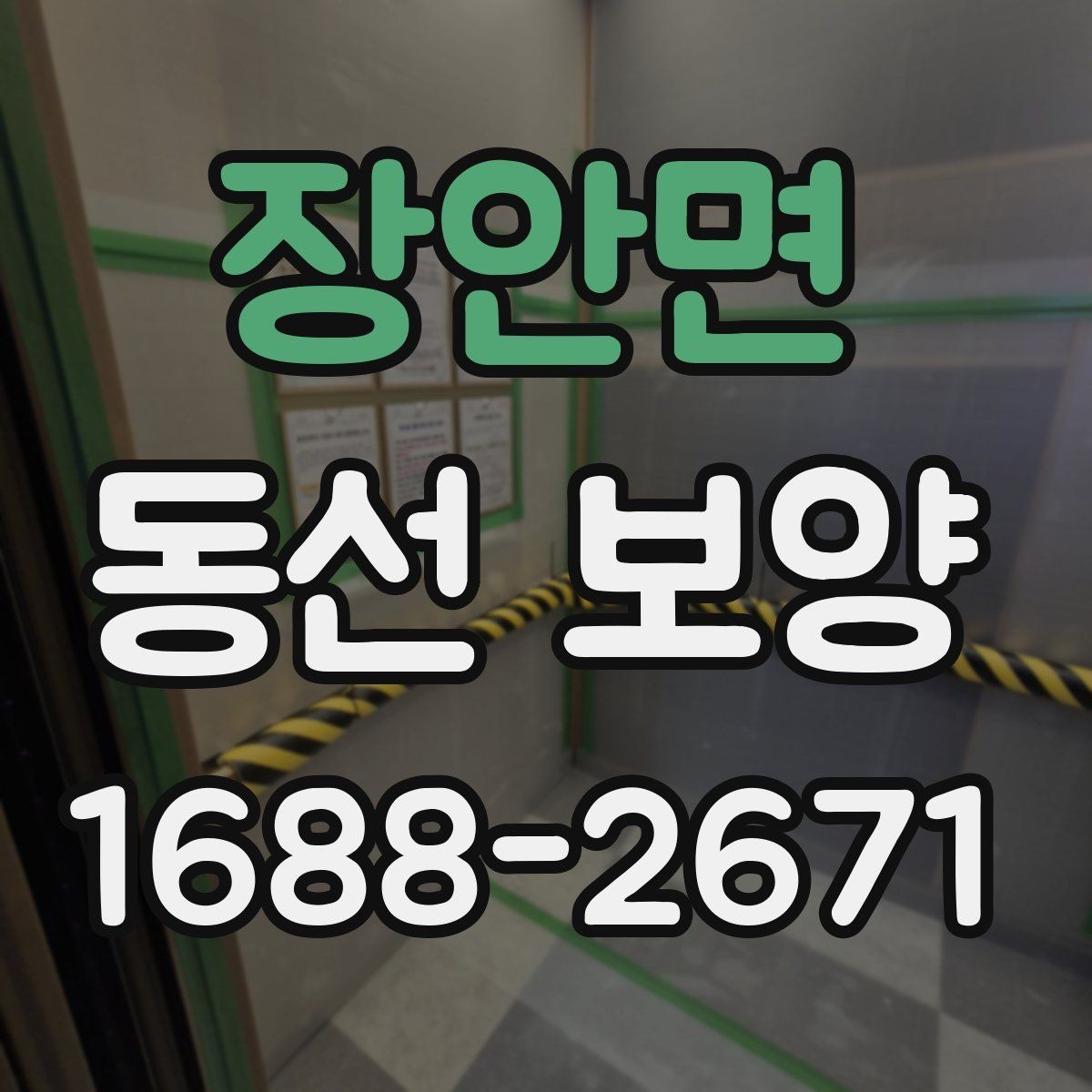 장안면 동선 보양 과정에서 생길 수 있는 문제와 대응