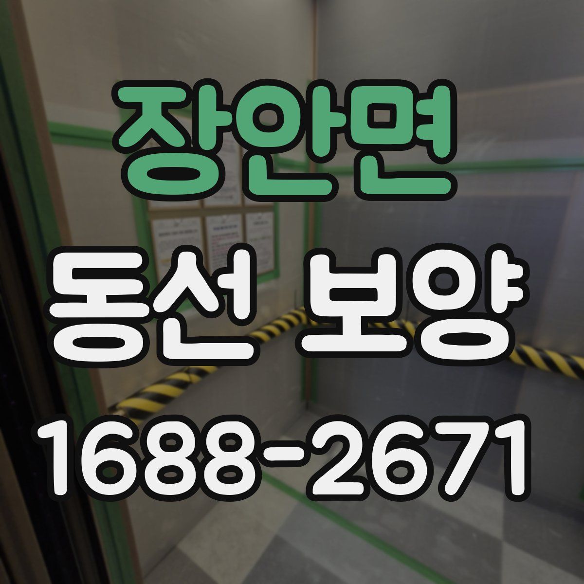 장안면 동선 보양