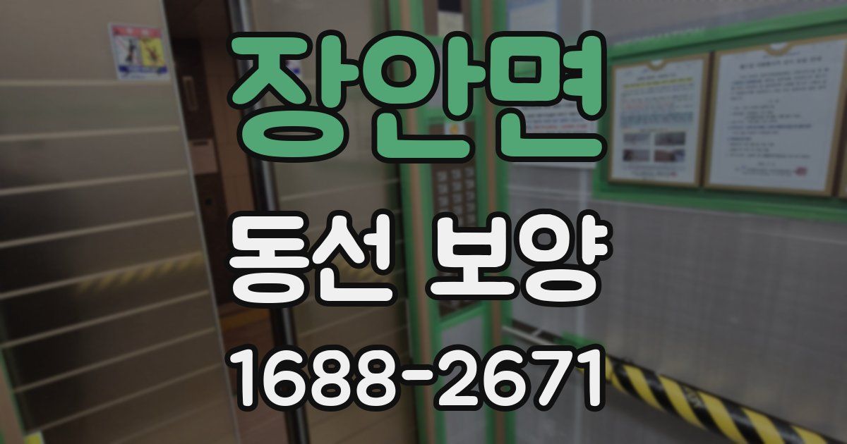장안면 동선 보양