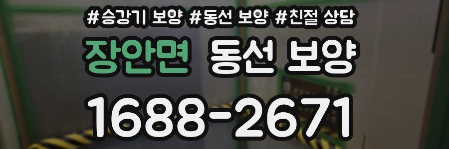장안면 동선 보양