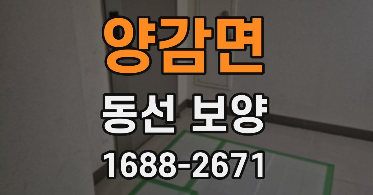 양감면 동선 보양