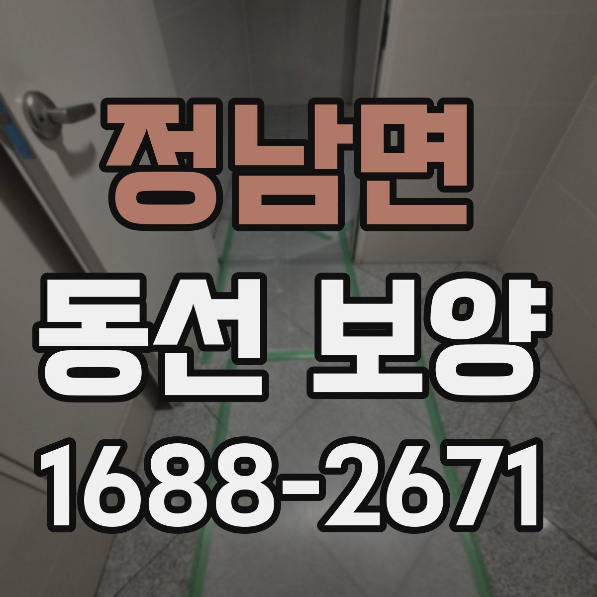 정남면 동선 보양