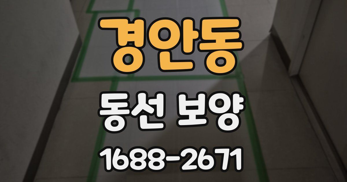 경안동 동선 보양